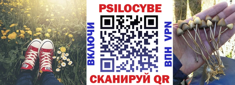 Купить  Снежногорск  Галлюциногенные грибы Cubensis 
