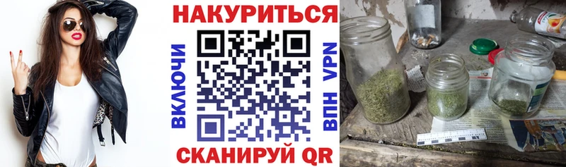 Бошки марихуана ГИДРОПОН  Купить закладки  Снежногорск 